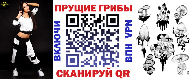 KRAKEN ТОР  Юхнов  Галлюциногенные грибы Psilocybe 